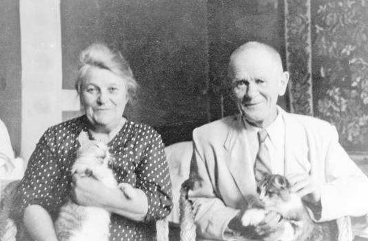 Вера Александровна и Лев Николаевич с любимыми кошками Секой и Тюмой